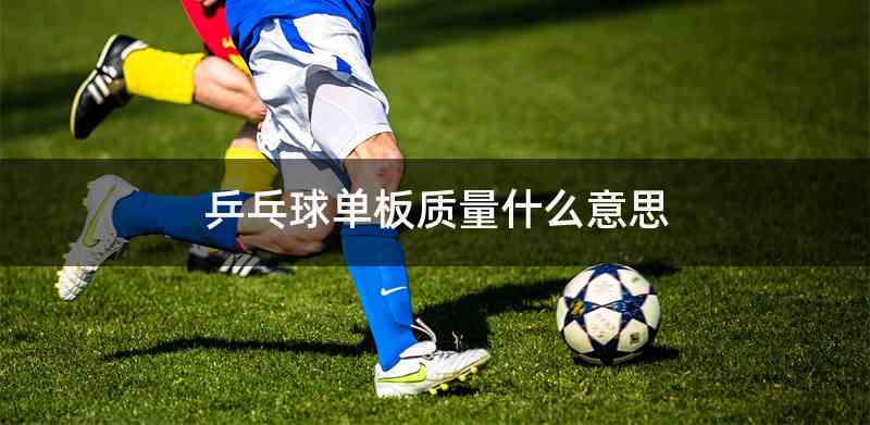 乒乓球单板质量什么意思