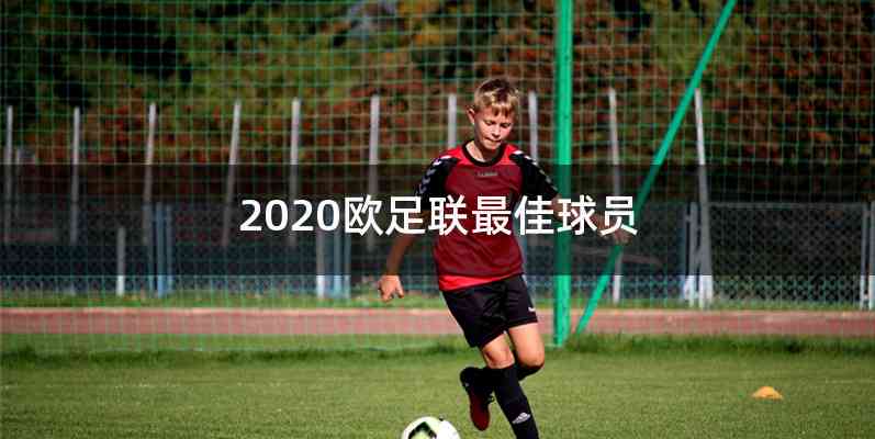 2020欧足联最佳球员