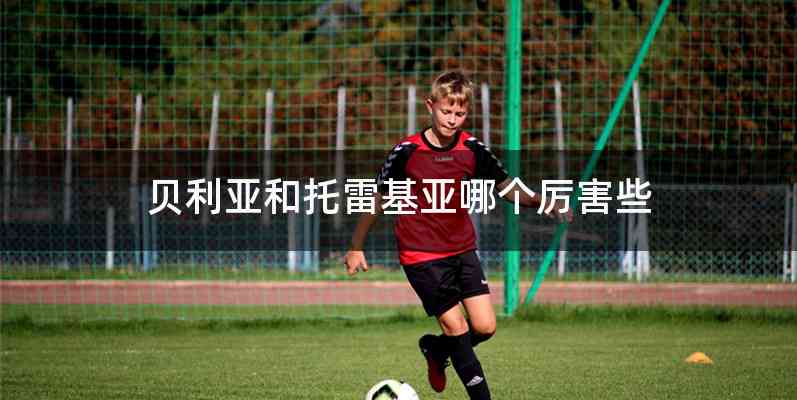 贝利亚和托雷基亚哪个厉害些