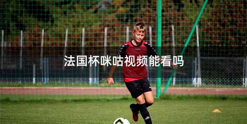 法国杯咪咕视频能看吗