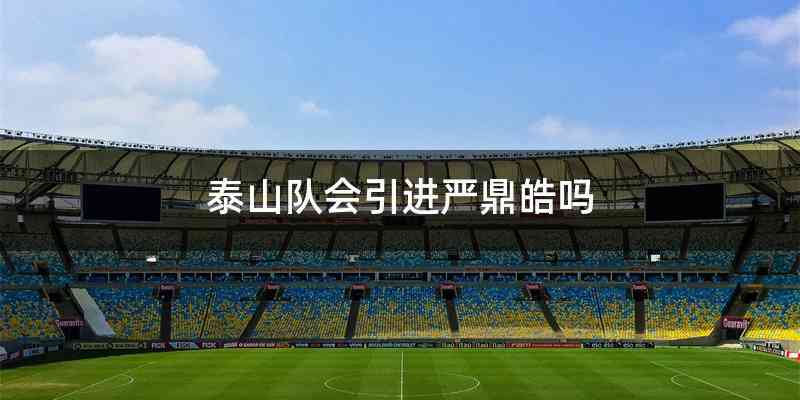 泰山队会引进严鼎皓吗