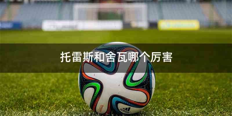 托雷斯和舍瓦哪个厉害