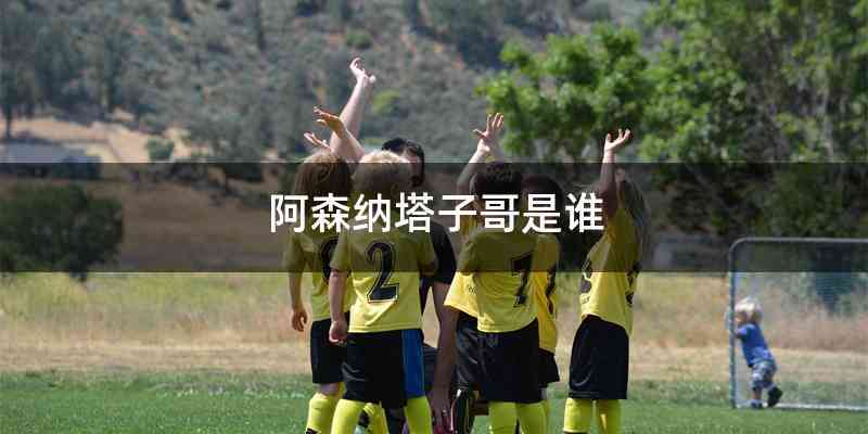 阿森纳塔子哥是谁