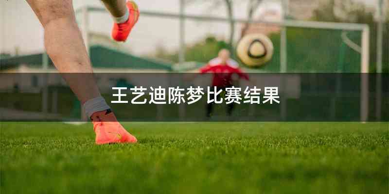 王艺迪陈梦比赛结果