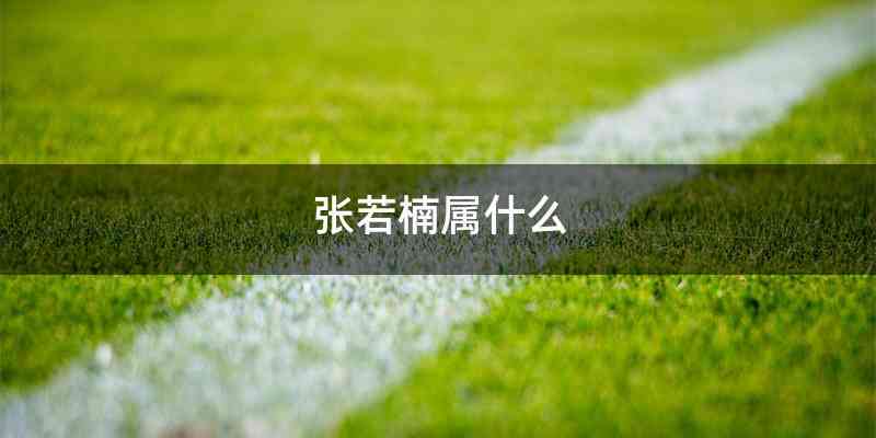 张若楠属什么