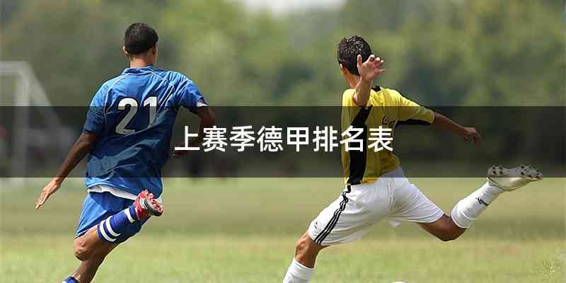上赛季德甲排名表