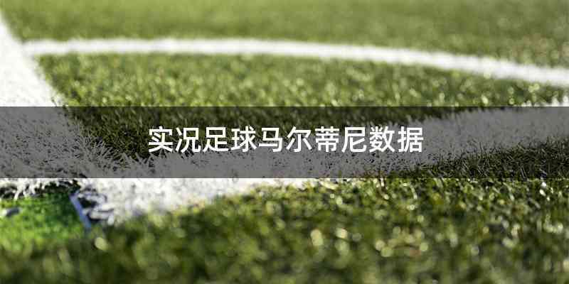 实况足球马尔蒂尼数据