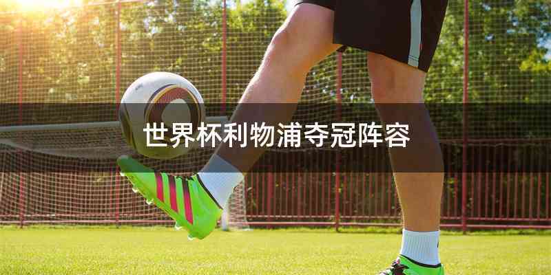 世界杯利物浦夺冠阵容