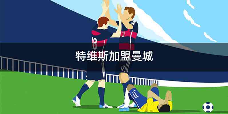 特维斯加盟曼城