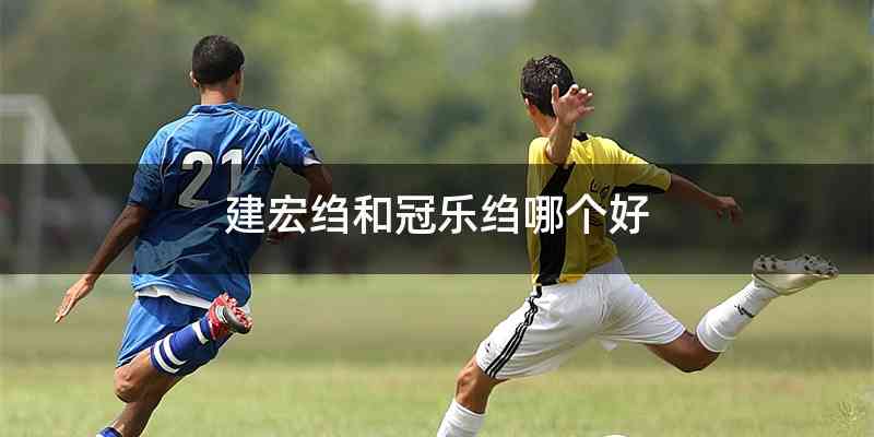 建宏绉和冠乐绉哪个好