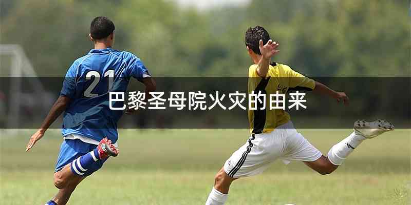 巴黎圣母院火灾的由来