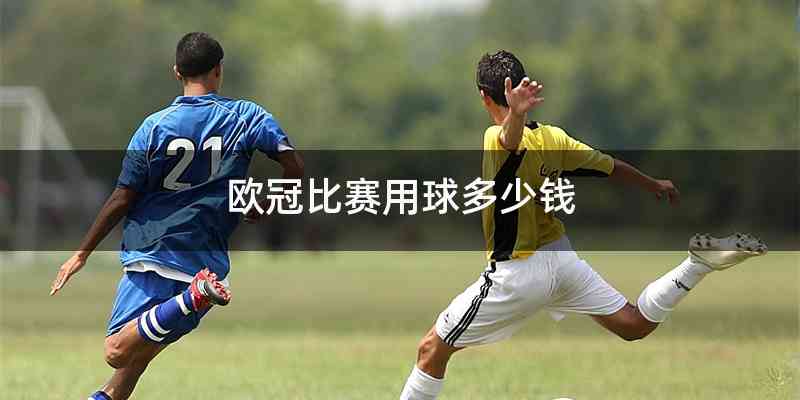 欧冠比赛用球多少钱