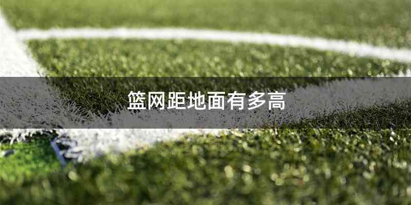 篮网距地面有多高