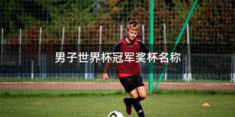 男子世界杯冠军奖杯名称