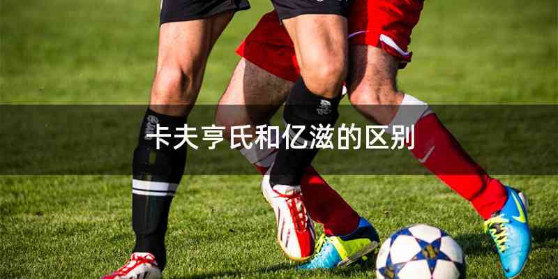 卡夫亨氏和亿滋的区别