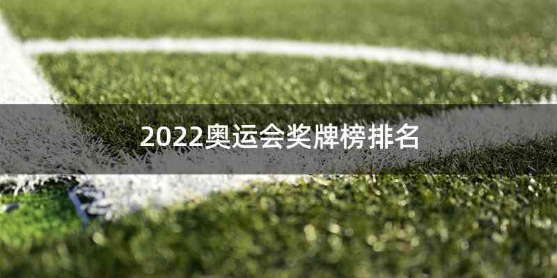 2022奥运会奖牌榜排名