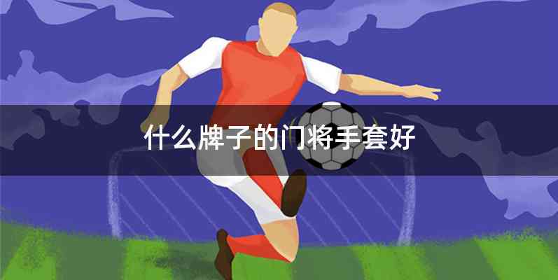 什么牌子的门将手套好