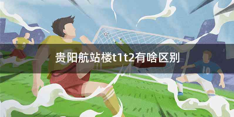 贵阳航站楼t1t2有啥区别
