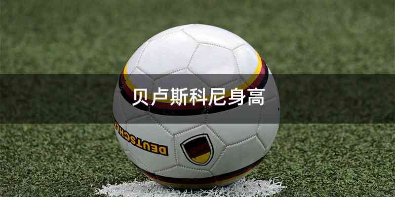 贝卢斯科尼身高