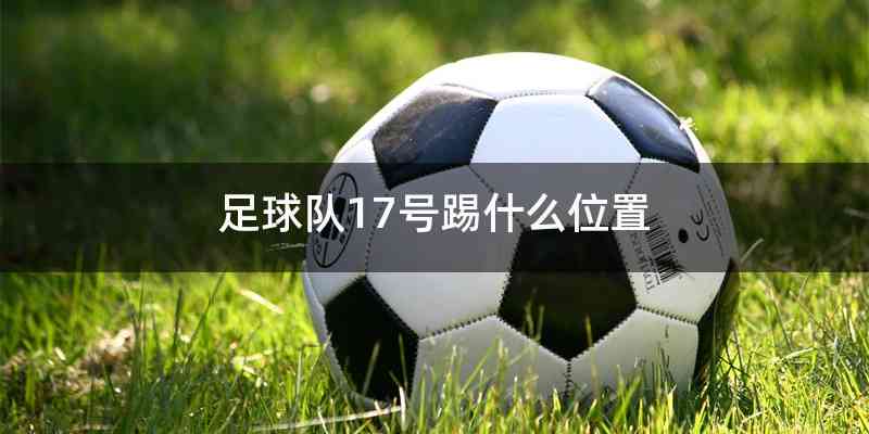 足球队17号踢什么位置