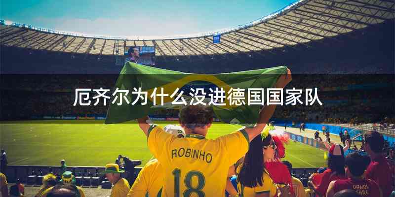厄齐尔为什么没进德国国家队
