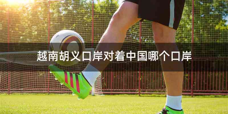 越南胡义口岸对着中国哪个口岸