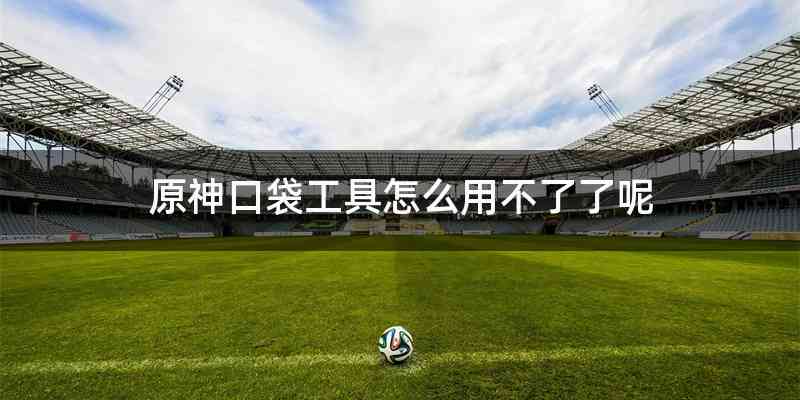 原神口袋工具怎么用不了了呢