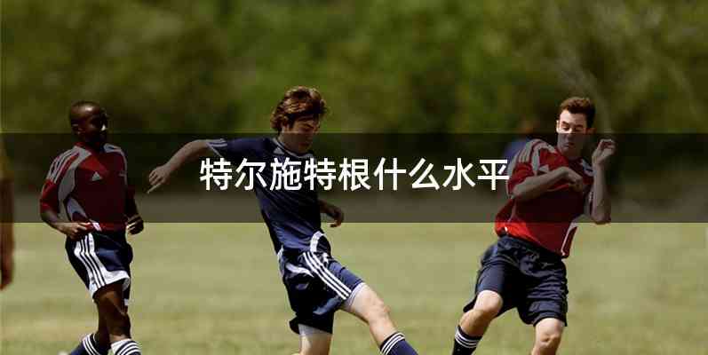 特尔施特根什么水平