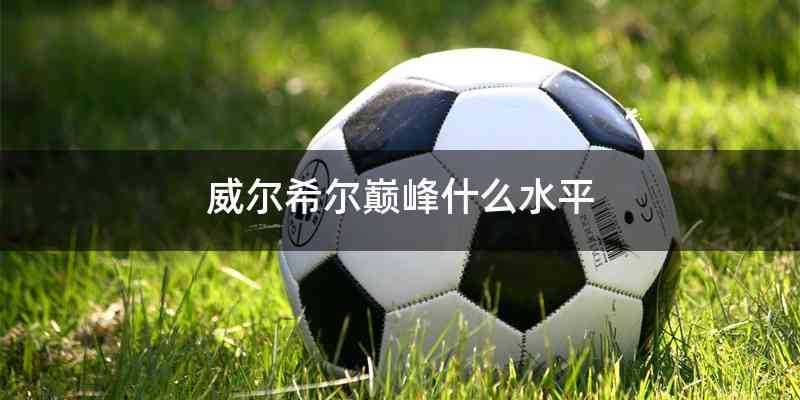 威尔希尔巅峰什么水平