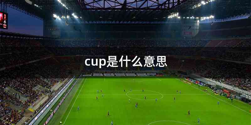 cup是什么意思
