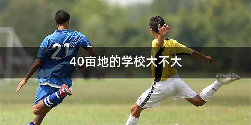 40亩地的学校大不大