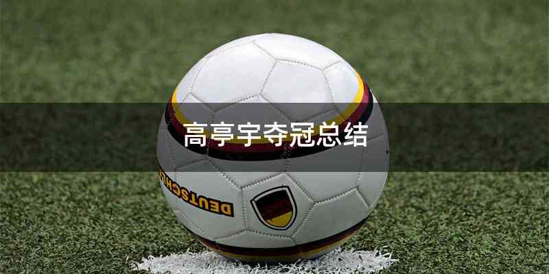 高亭宇夺冠总结