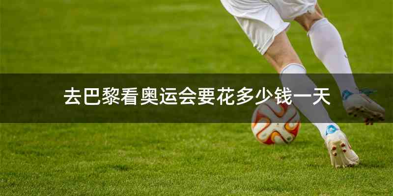 去巴黎看奥运会要花多少钱一天