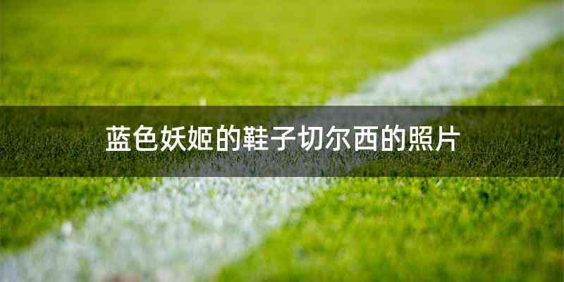 蓝色妖姬的鞋子切尔西的照片