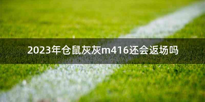 2023年仓鼠灰灰m416还会返场吗