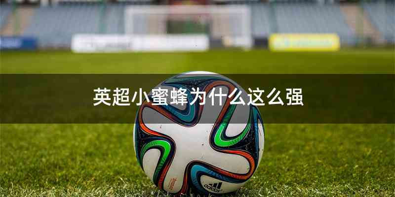 英超小蜜蜂为什么这么强