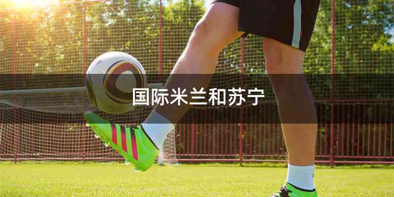 国际米兰和苏宁