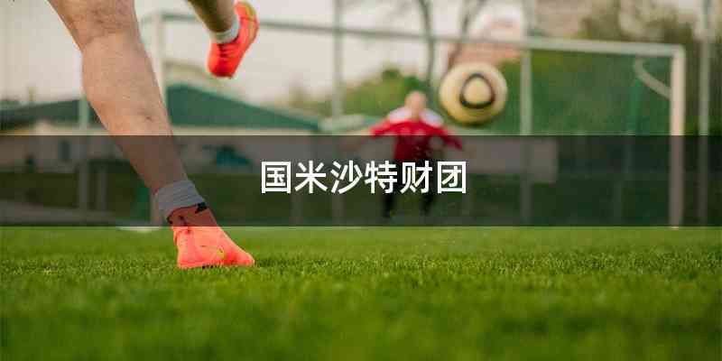 国米沙特财团