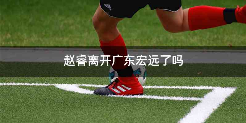 赵睿离开广东宏远了吗