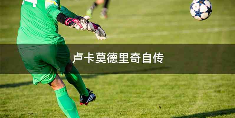 卢卡莫德里奇自传
