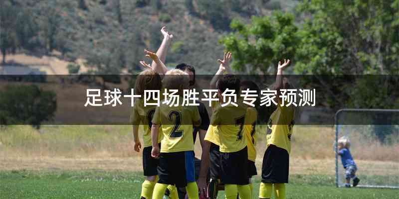 足球十四场胜平负专家预测