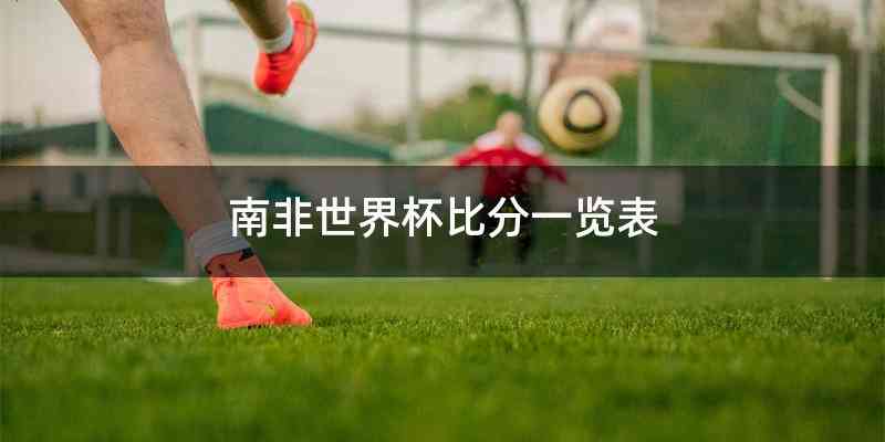 南非世界杯比分一览表