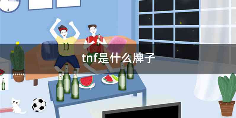 tnf是什么牌子