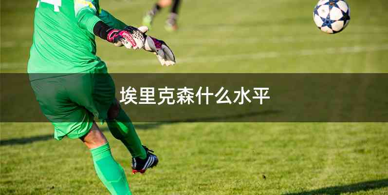 埃里克森什么水平