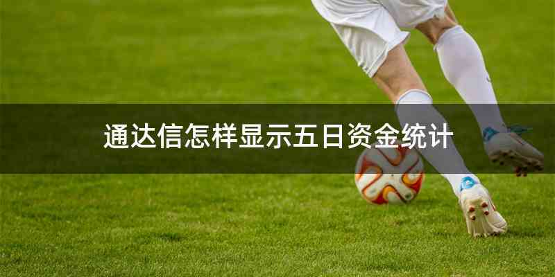通达信怎样显示五日资金统计