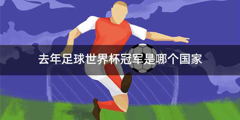 去年足球世界杯冠军是哪个国家