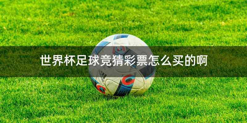 世界杯足球竞猜彩票怎么买的啊