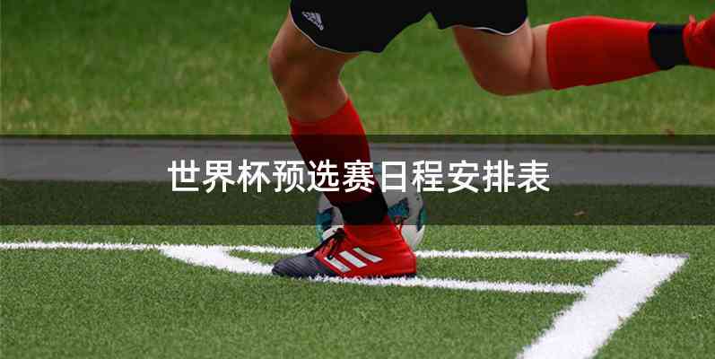 世界杯预选赛日程安排表