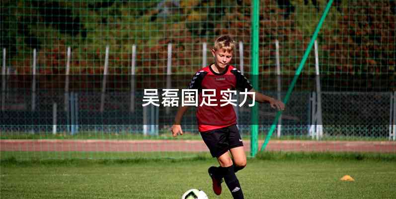 吴磊国足实力