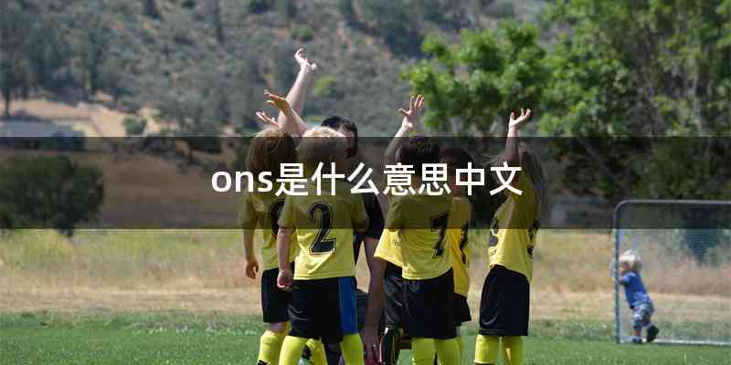 ons是什么意思中文